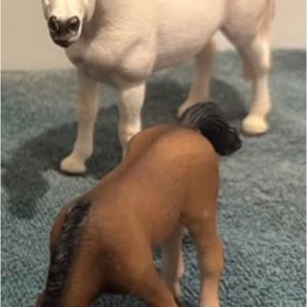 Realistic Horse Figurine Set